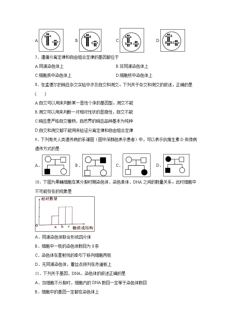 【生物】福建省莆田第七中学2019-2020学年高二上学期期中考试试题02
