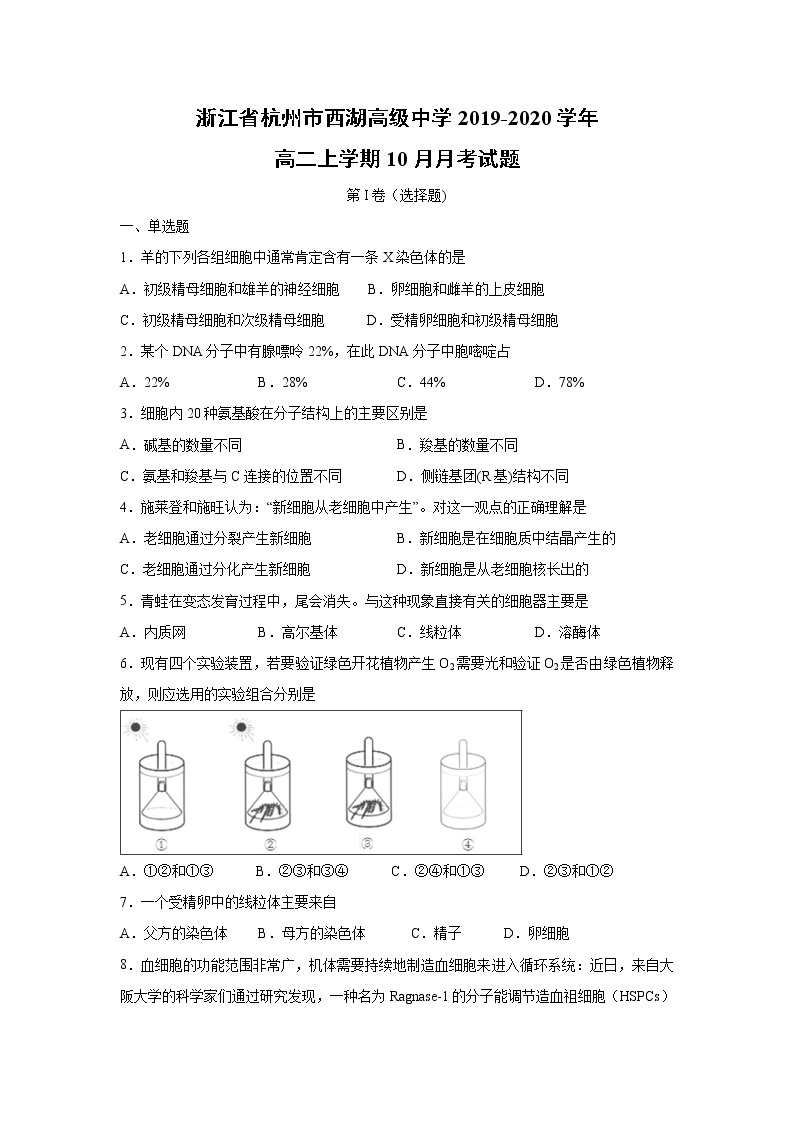 【生物】浙江省杭州市西湖高级中学2019-2020学年高二上学期10月月考试题（解析版）01