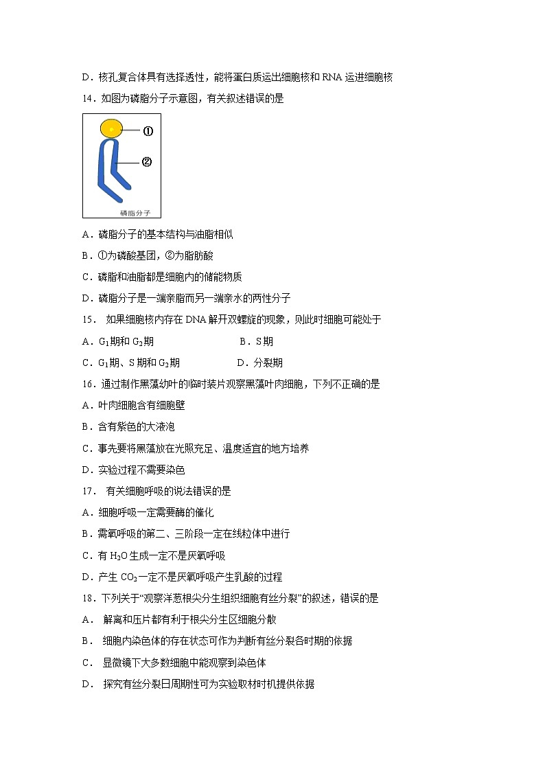 【生物】浙江省嘉兴市第一中学2019-2020学年高二10月月考试题03