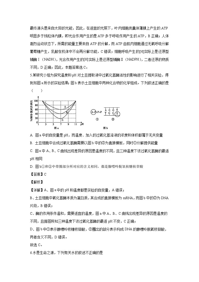 【生物】?jī)?nèi)蒙古烏蘭察布市集寧一中2019-2020學(xué)年高二下學(xué)期第二次月考試題（解析版）第3頁(yè)
