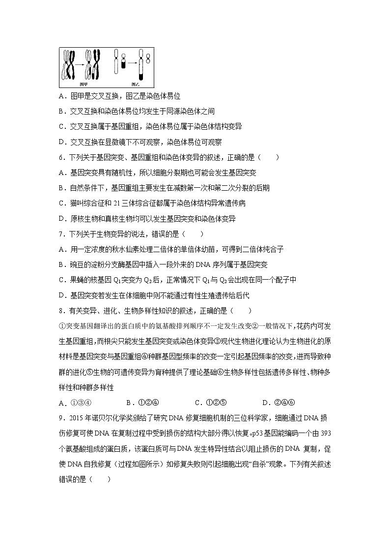 【生物】内蒙古北方重工业集团有限公司第三中学2019-2020学年高二10月月考试题02