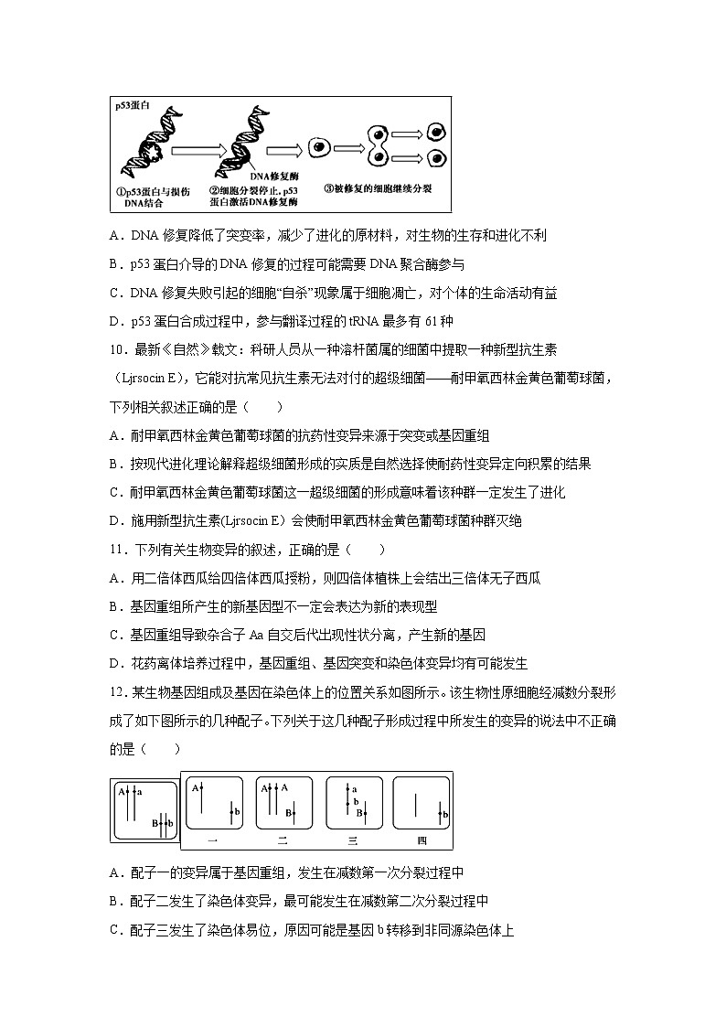 【生物】内蒙古北方重工业集团有限公司第三中学2019-2020学年高二10月月考试题03