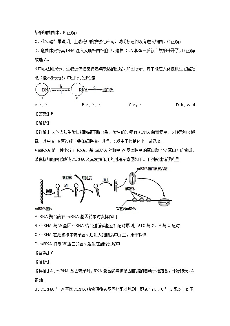 【生物】内蒙古赤峰市2019-2020学年高二上学期联合考试试题(解析版)02
