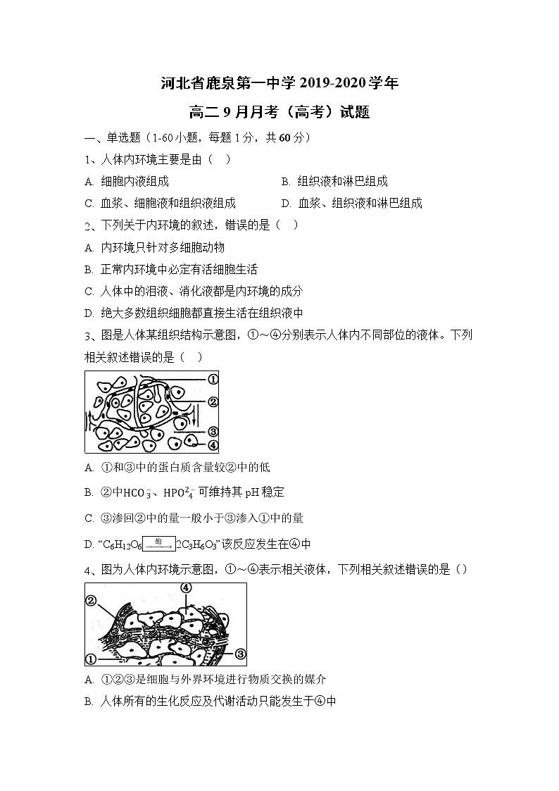 【生物】河北省鹿泉第一中学2019-2020学年高二9月月考(高考)试题01