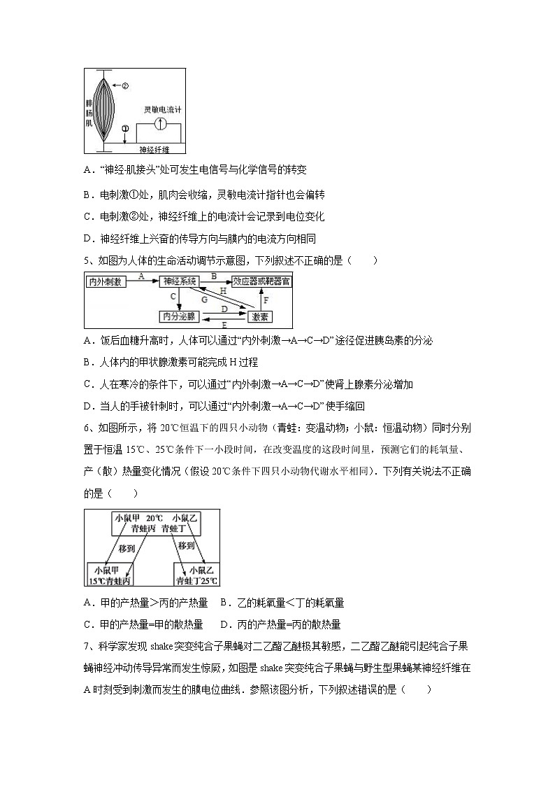 【生物】湖南省邵东县第一中学2019-2020学年高二上学期第三次月考试题02