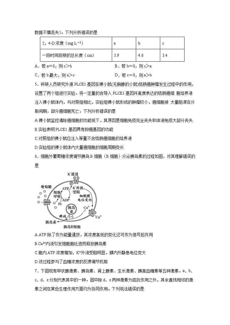 【生物】湖北省鄂州市2019-2020学年高二上学期月考试卷02