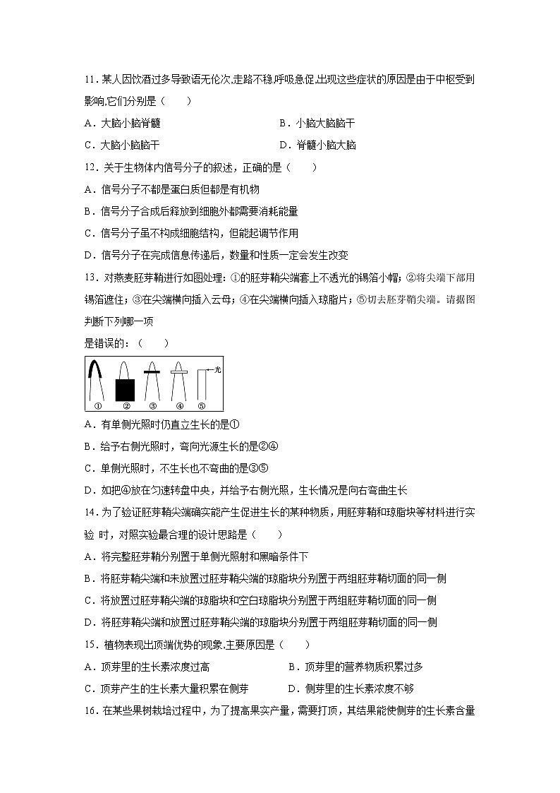 【生物】贵州省兴仁市凤凰中学2019-2020学年高二上学期第二次月考试题第3页