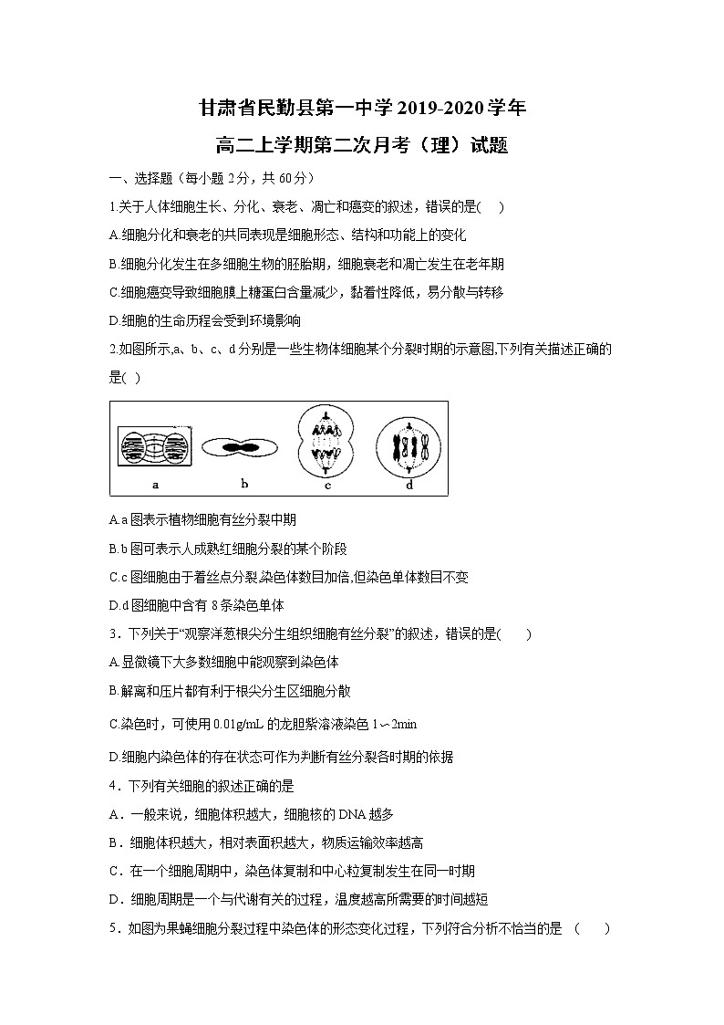 【生物】甘肃省民勤县第一中学2019-2020学年高二上学期第二次月考(理)试题第1页