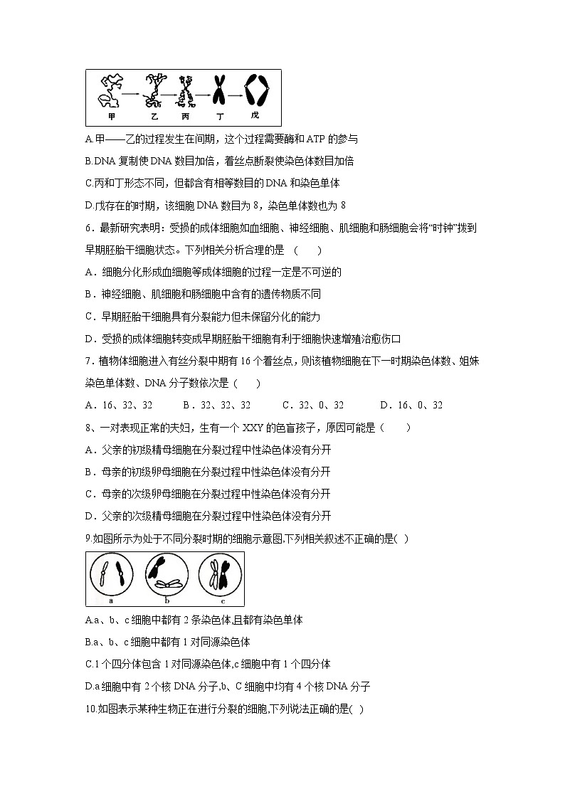【生物】甘肃省民勤县第一中学2019-2020学年高二上学期第二次月考(理)试题第2页