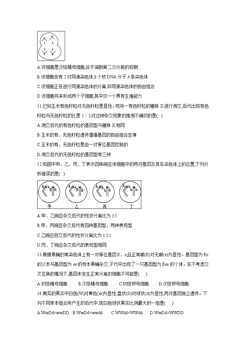 【生物】甘肃省民勤县第一中学2019-2020学年高二上学期第二次月考(理)试题第3页