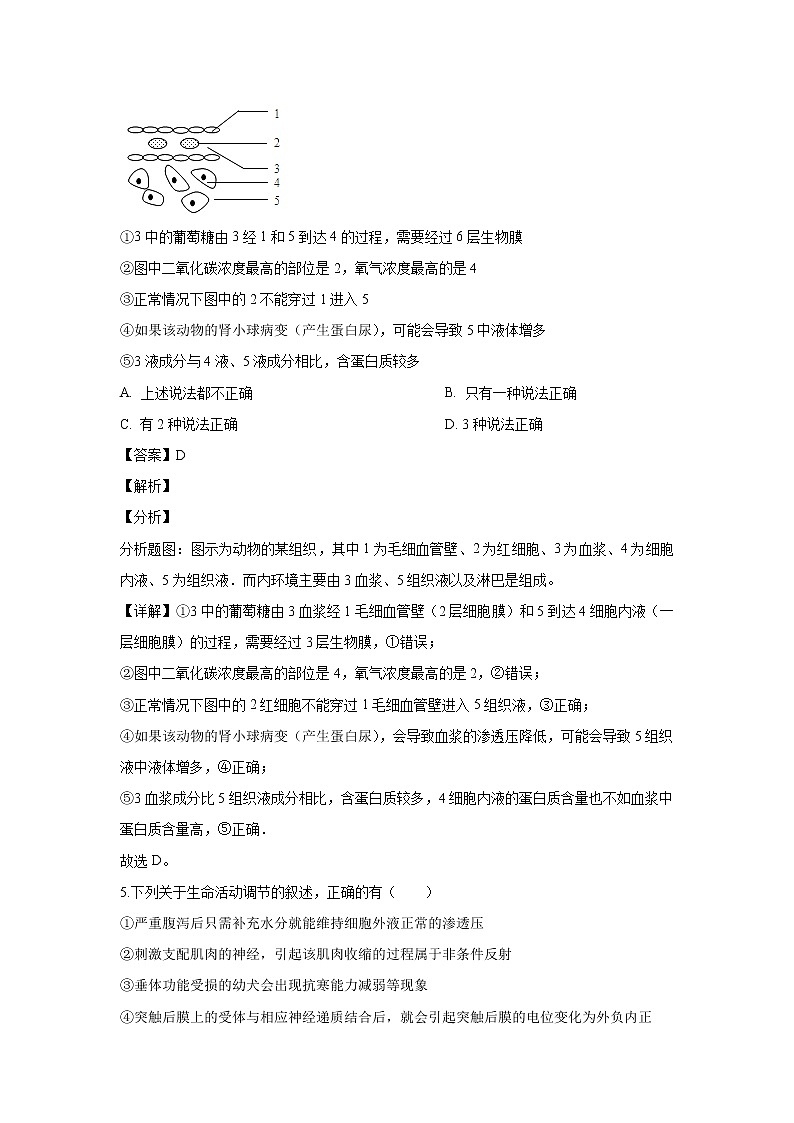 【生物】河南省许昌高级中学2019-2020学年高二上学期期初考试试题(解析版)03
