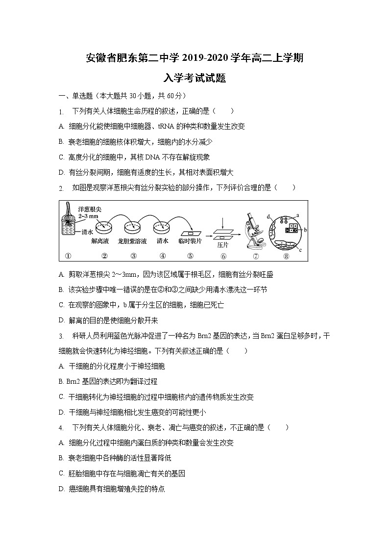 【生物】安徽省肥东第二中学2019-2020学年高二上学期入学考试试题01
