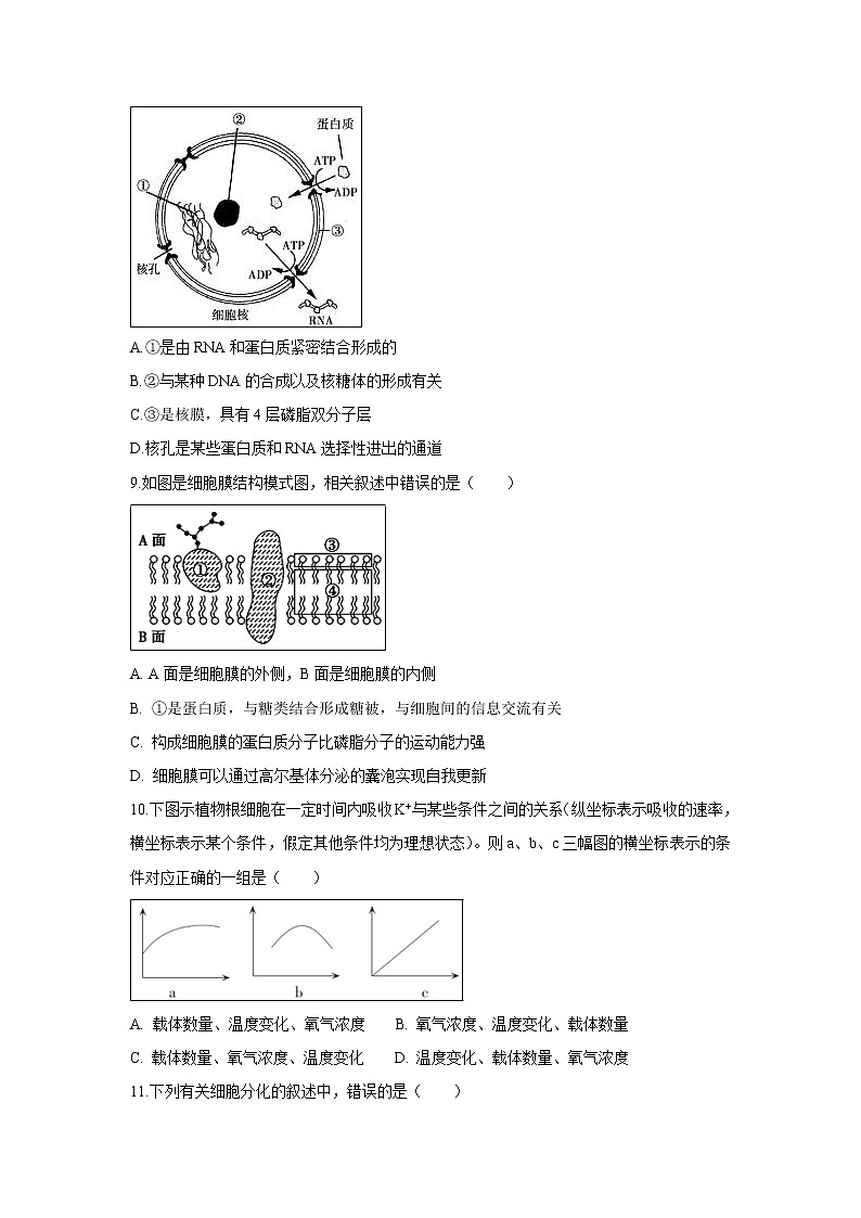 【生物】安徽省滁州市定远县育才学校2019-2020学年高二上学期入学考试试题03