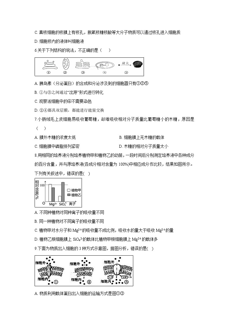 【生物】辽宁省六校协作体2019-2020学年高二上学期开学考试试题(解析版)第2页