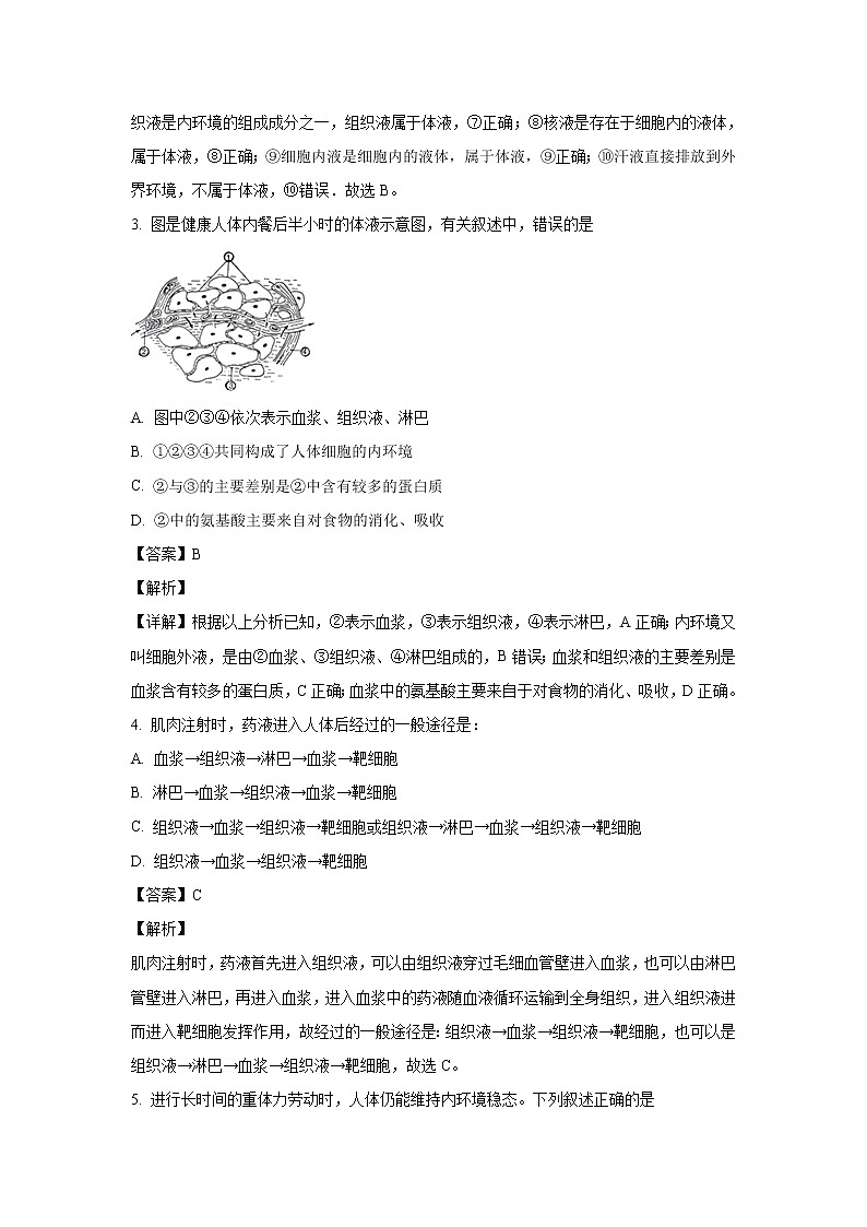 【生物】(新课标I)2020-2021学年高二上学期第一次月考备考金卷试题(B卷)(解析版)第2页