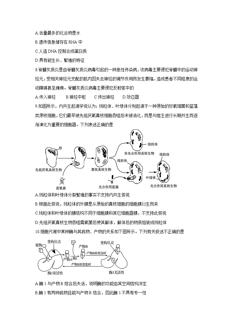 【生物】北京市延庆一中2020-2021学年高二10月检测试卷(正式版)第2页