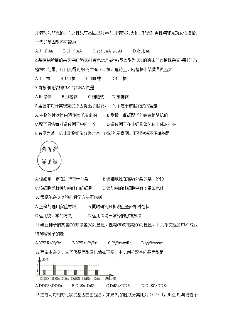 【生物】河北省唐山市2020-2021学年高二上学期9月质量检测试题第2页
