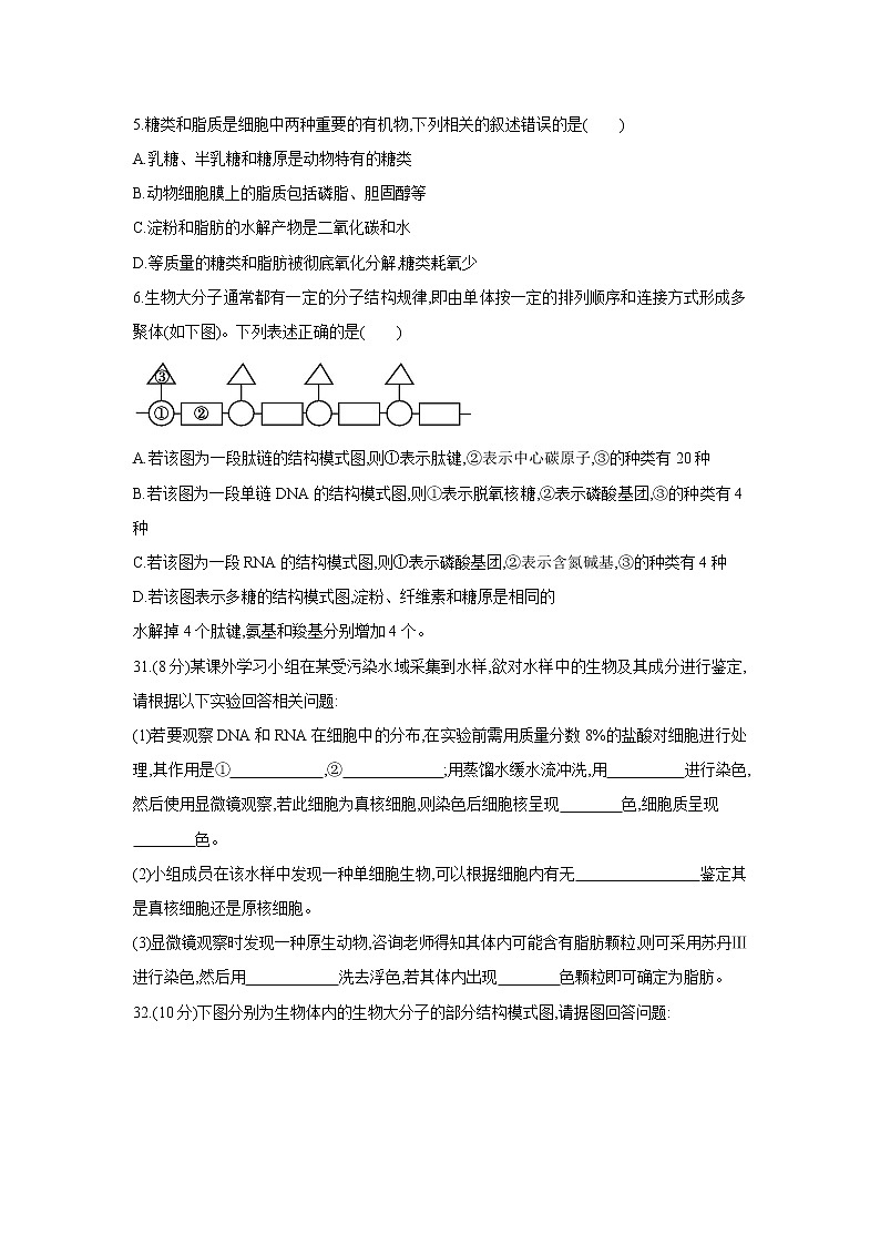 【生物】宁夏吴忠中学2020-2021学年高二9月月考理综-试题02