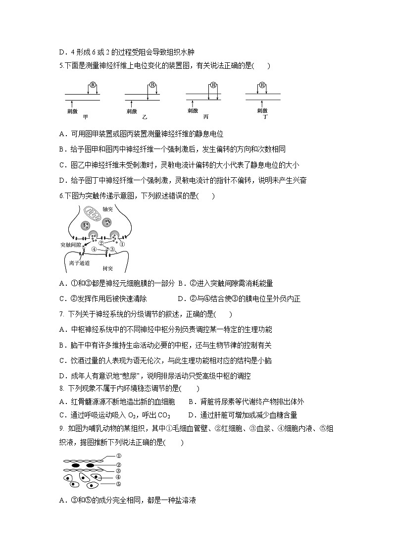 【生物】山东省济宁市实验中学2020-2021学年高二10月月考试题02