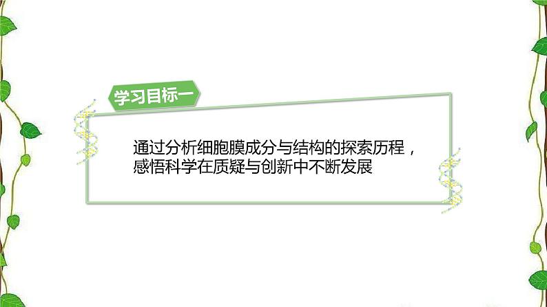 人教版(2019)高中生物必修1第三章第一节《细胞膜的结构和功能》第二课时(共20张ppt)03