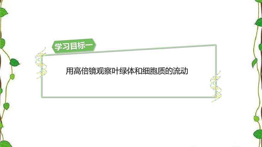 人教版（2019）高中生物必修1第三章第二節(jié)《細胞器之間的分工合作》第二課時（共17張ppt）第3頁