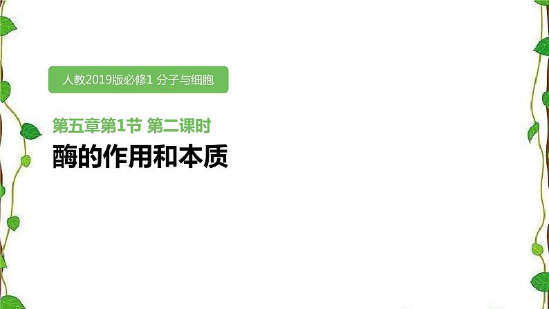 人教版(2019)高中生物必修1第五章第一节《酶的作用和本质》第二课时(共14张ppt)01