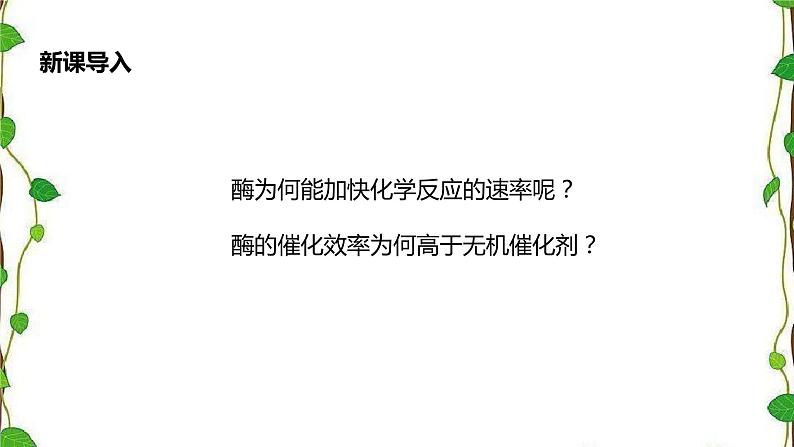 人教版(2019)高中生物必修1第五章第一节《酶的作用和本质》第二课时(共14张ppt)04