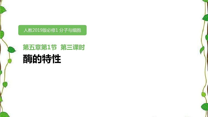 人教版(2019)高中生物必修1第五章第一节《酶的特性》第一课时(共15张ppt)01