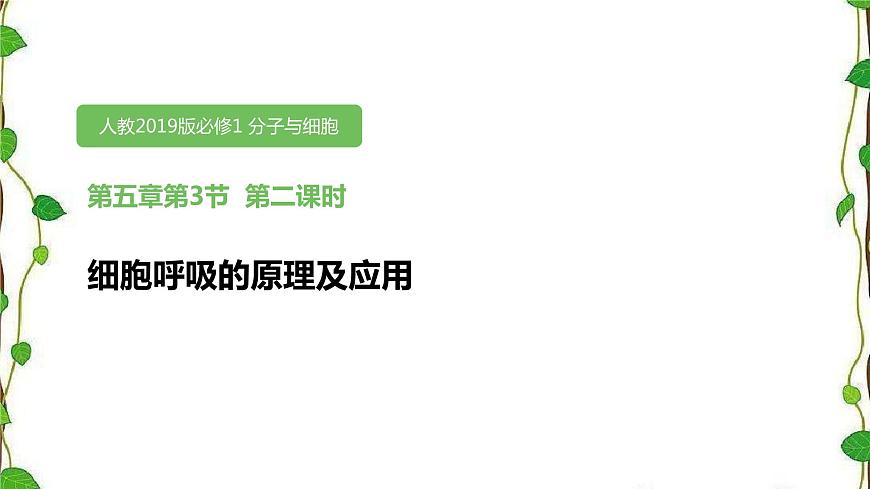人教版（2019）高中生物必修1第五章第三節(jié)《細(xì)胞呼吸的原理和應(yīng)用》第二課時（共17張ppt）第1頁