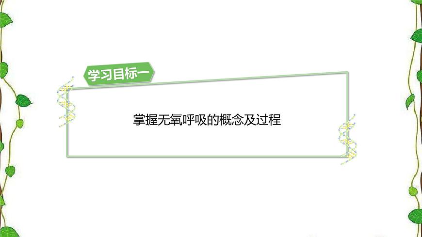 人教版（2019）高中生物必修1第五章第三節(jié)《細(xì)胞呼吸的原理和應(yīng)用》第二課時（共17張ppt）第3頁