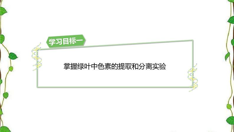 人教版(2019)高中生物必修1第五章第四节《捕获光能的色素和结构》第一课时(共16张ppt)03