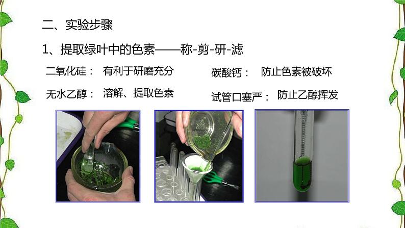 人教版(2019)高中生物必修1第五章第四节《捕获光能的色素和结构》第一课时(共16张ppt)06