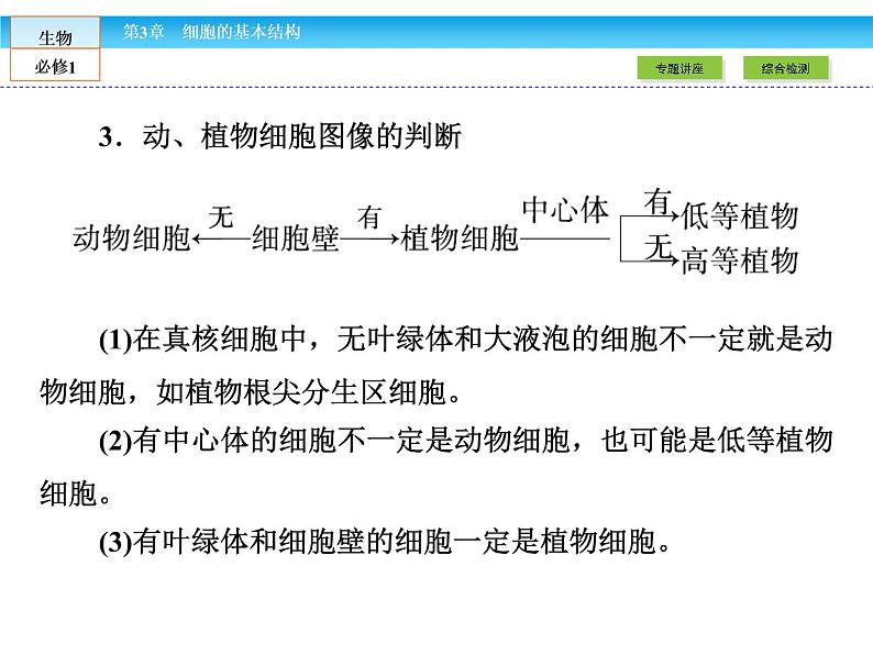 (人教版)高中生物必修一:第3章-全章章末高效整合精讲课件(共 16张PPT)05