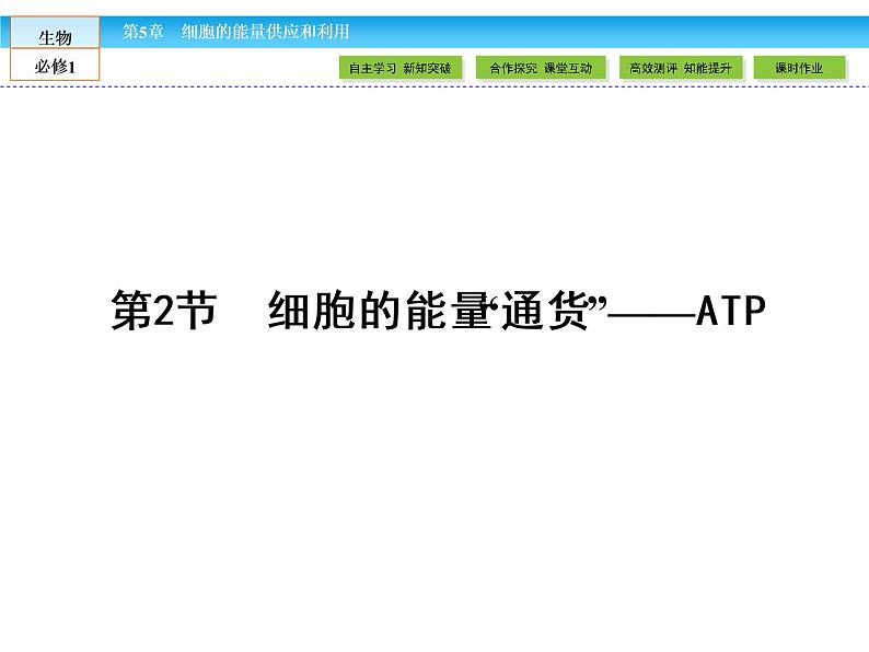 (人教版)高中生物必修一:5.2细胞的能量“通货”-ATP课件(共41 张PPT)01
