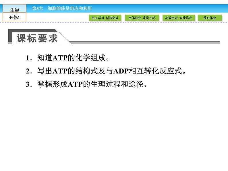 (人教版)高中生物必修一:5.2细胞的能量“通货”-ATP课件(共41 张PPT)03