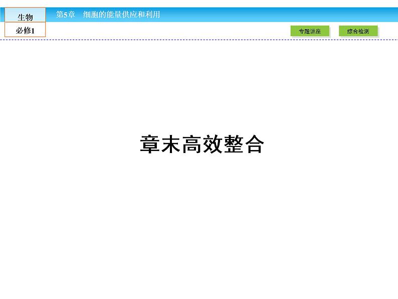 (人教版)高中生物必修一:第5章-全章章末高效整合精讲课件(共22 张PPT)02