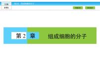 高中生物人教版 (新课标)必修1《分子与细胞》第二章 组成细胞的分子综合与测试备课ppt课件