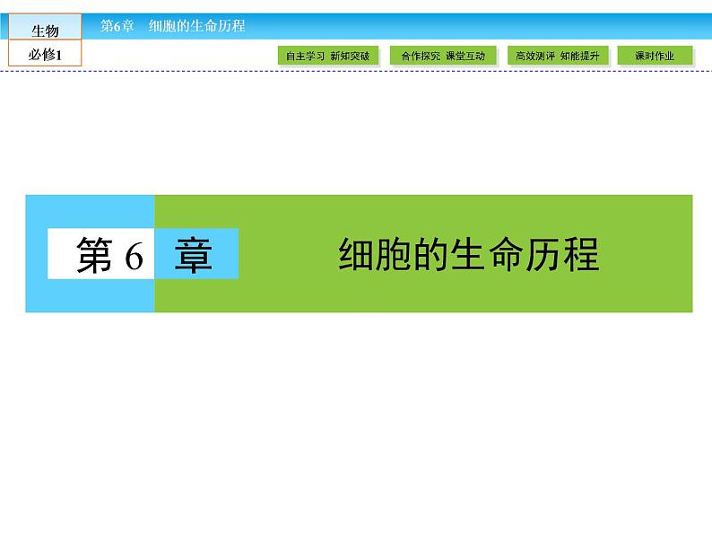 (人教版)高中生物必修一:6.1《细胞的增殖》课件(共65 张PPT)01