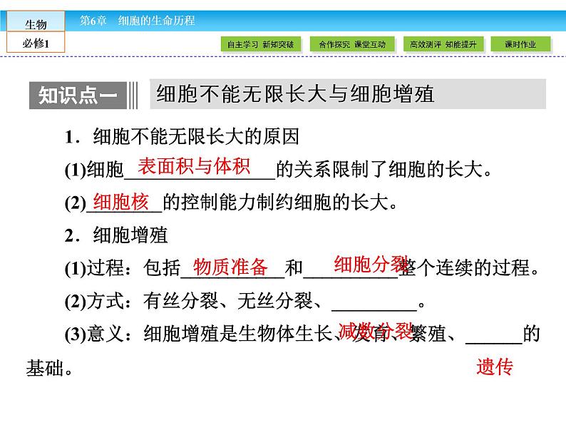 (人教版)高中生物必修一:6.1《细胞的增殖》课件(共65 张PPT)05