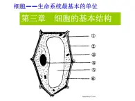 高一生物人教版必修一课件：3.1细胞膜 系统的边界课件（共27 张PPT）