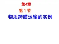 高一生物人教版必修一课件：4.1物质跨膜运输的实例课件（共 40张PPT）