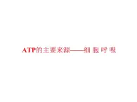 高一生物人教版必修一课件：5.3ATP的主要来源——细胞呼吸课件（共39 张PPT）