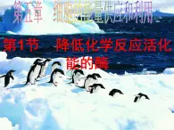 高一生物人教版必修一课件：5.1降低化学反应活化能的酶课件（共45 张PPT）