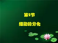 高一生物人教版必修一课件：6.2细胞的分化课件（共28 张PPT）