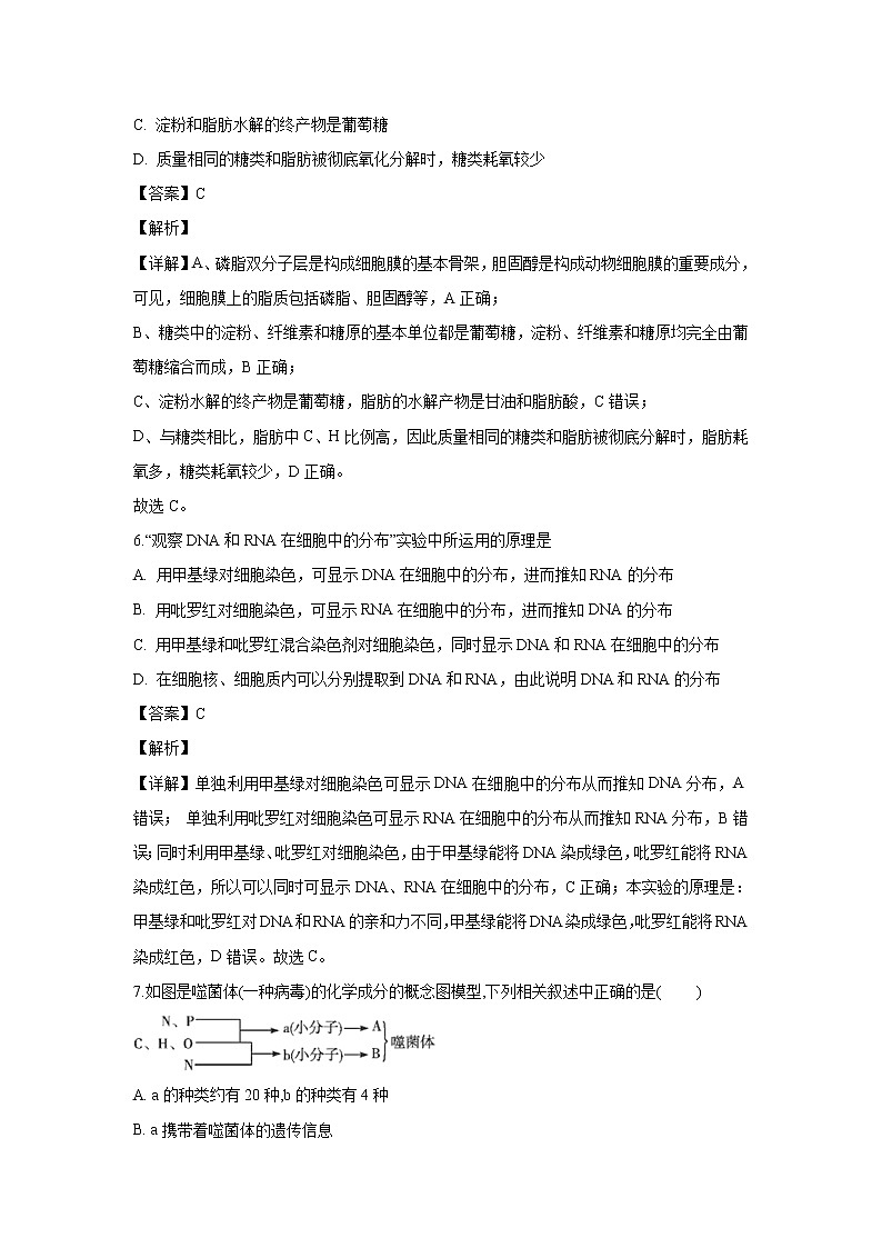 【生物】吉林省公主岭市2018-2019学年高二下学期期末考试试题(解析版)第3页