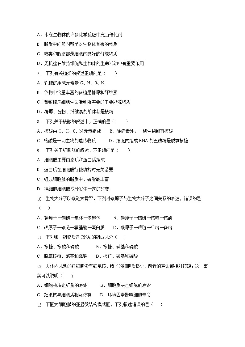 【生物】吉林省实验中学2018-2019学年高二下学期期末考试试题第2页