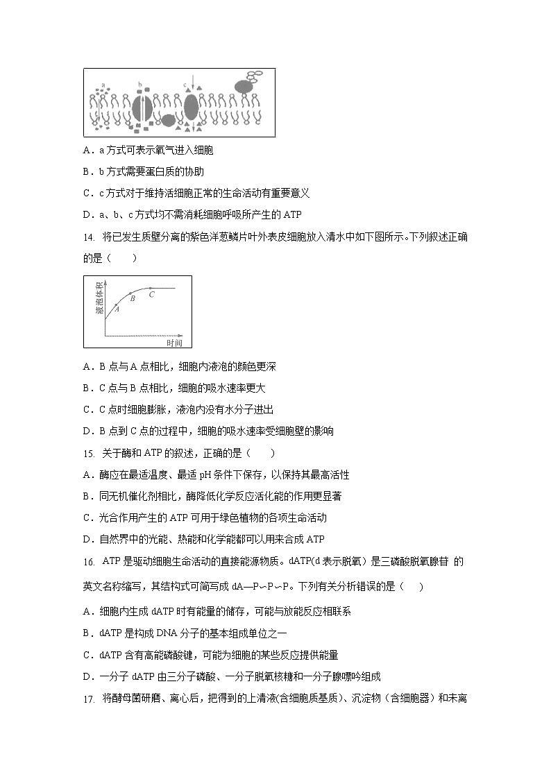 【生物】吉林省实验中学2018-2019学年高二下学期期末考试试题第3页