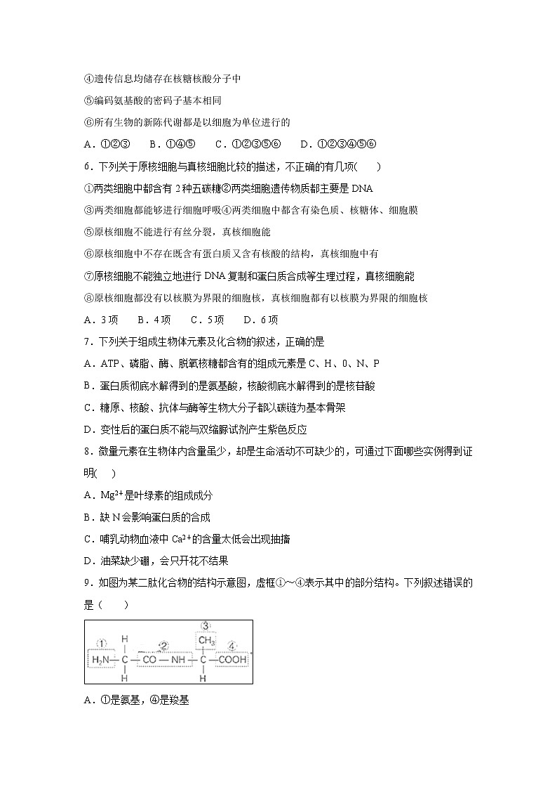【生物】新疆石河子二中2018-2019高二下学期期末考试试卷第2页