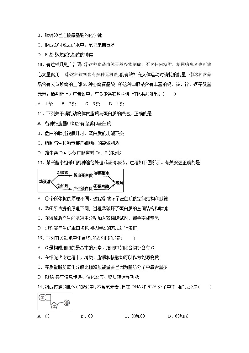 【生物】新疆石河子二中2018-2019高二下学期期末考试试卷第3页