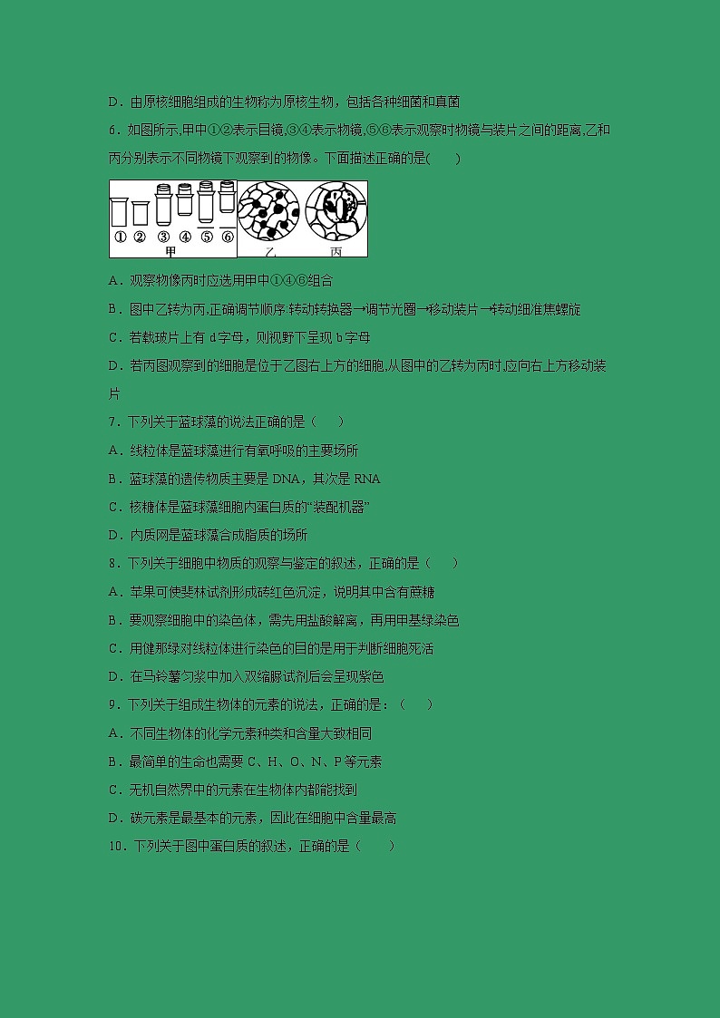 【生物】山西省晋中市祁县第二中学2018-2019高二下学期期末生物试卷02